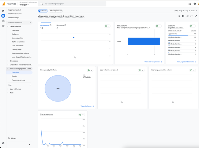 Google Analytics 4 (GA4) user guide deep dive: Learn from your data
