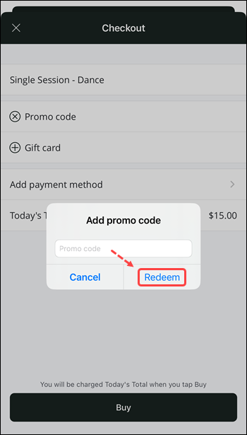 Promo code entry field on checkout page